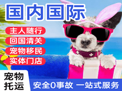 广州空运国际宠物托运 【国